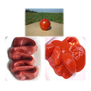 Processed tomato products