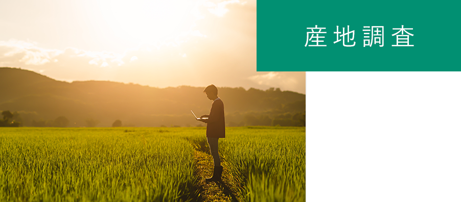 産地調査