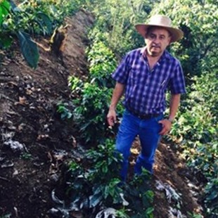 Guatemala SHB EP La Burbuja Farm