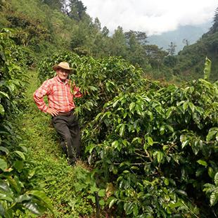 Guatemala SHB EP Slow food Esquiplas Agricultural Cooperative: Micro-lot balls