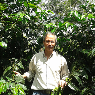 Guatemala SHB EP Arco Iris Farm