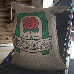Costa Rica SHB EP La Rosa Mountain農園