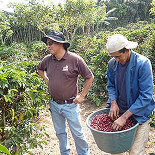 Peru G1 EP JAS El Pargo Mountain