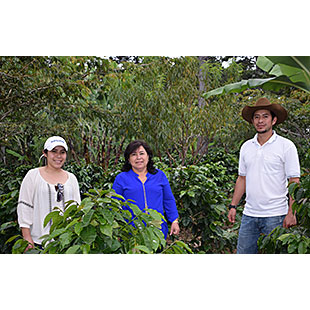 Honduras SHG EP COMSA