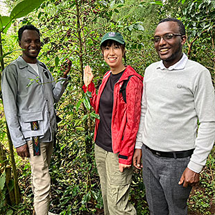 Ethiopia JAS+FLO+BF Oromia-Warka