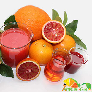 イタリア産柑橘果汁