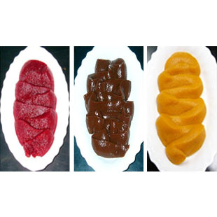 チリ産フルーツ・野菜ペースト