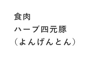 食肉 ハーブ四元豚(よんげんとん)